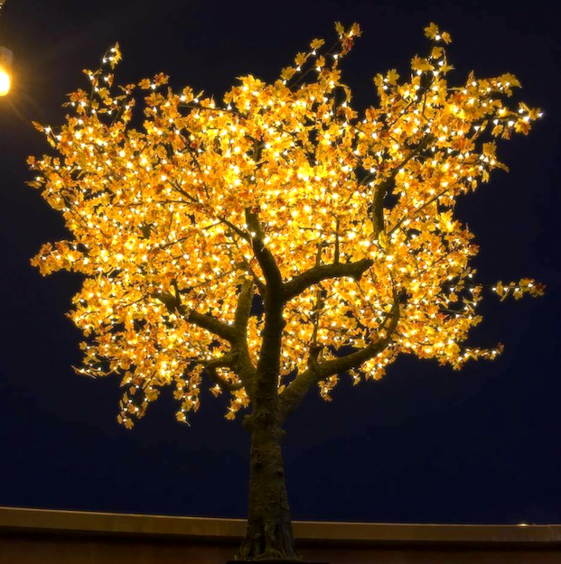 arbre-lumineux-erable-location-mariage-evenement-01
