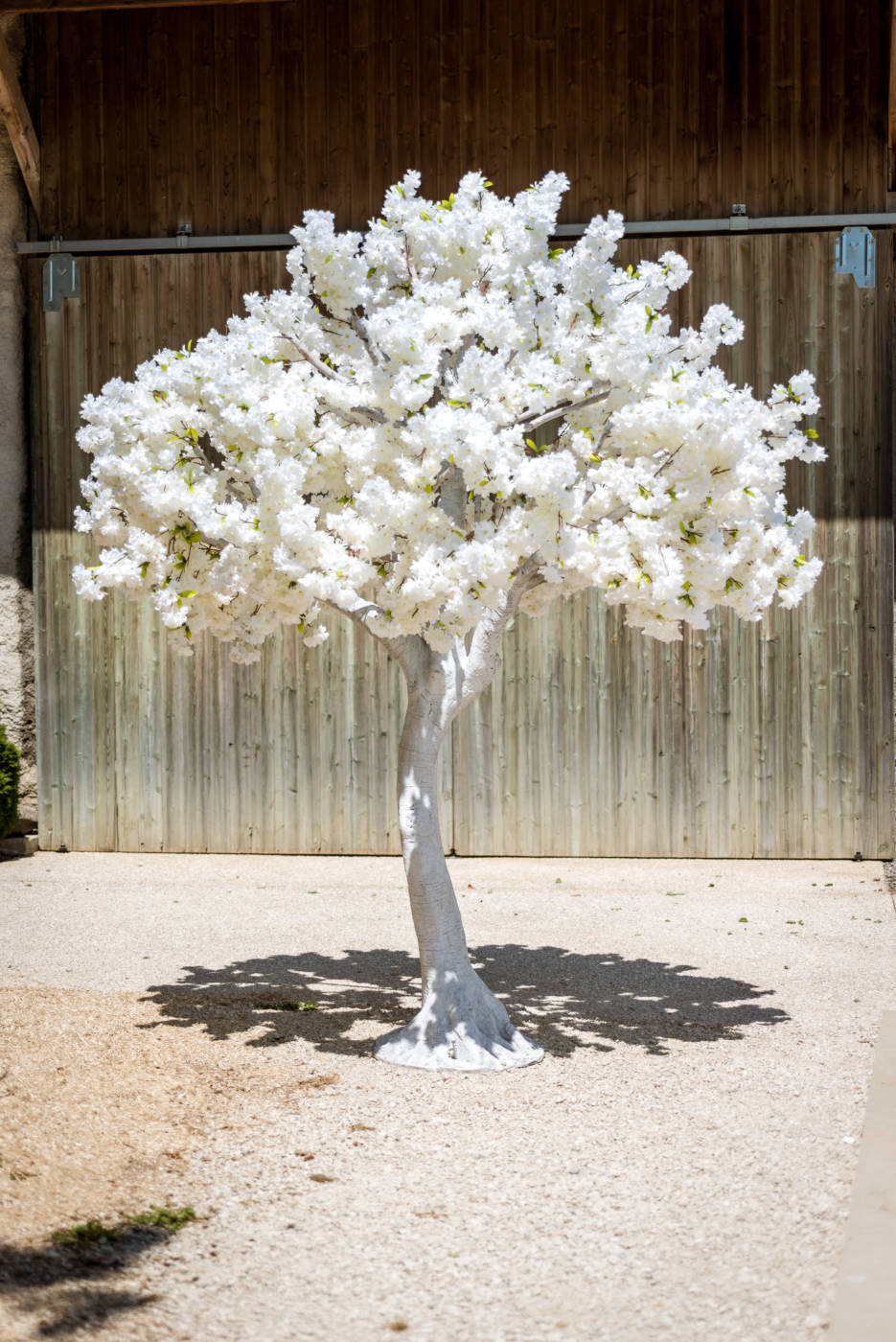 arbre-lumineux