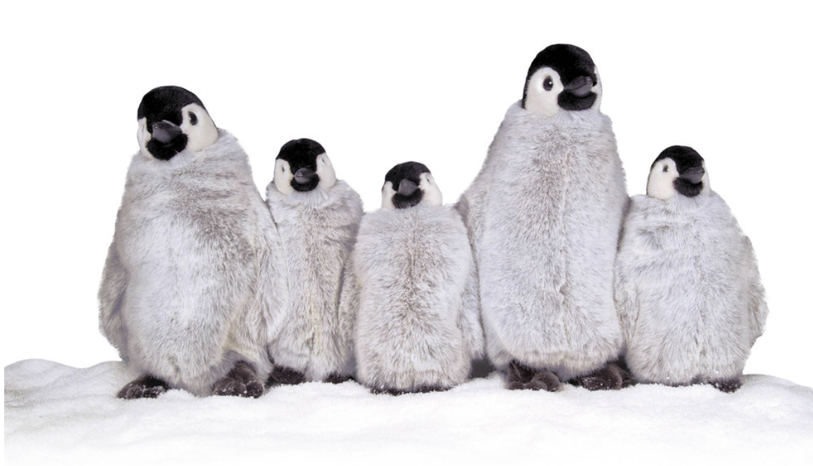 automate famille de 5 pingouins