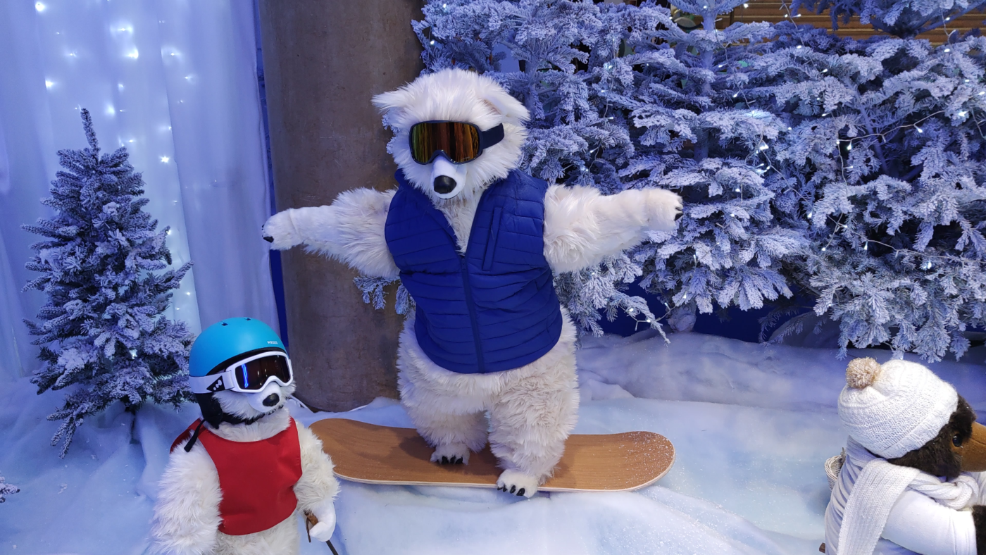 Ours Snowboard 1