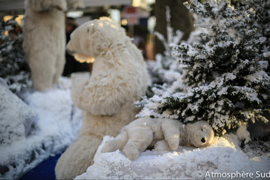 rêve d'ours