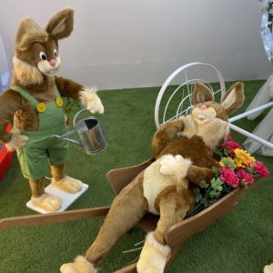 LAPIN BROUETTE